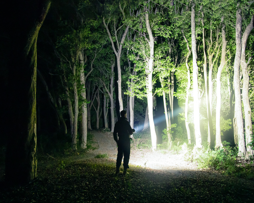 Outdoor Lighting for Search